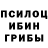 Галлюциногенные грибы GOLDEN TEACHER gtrchrdie