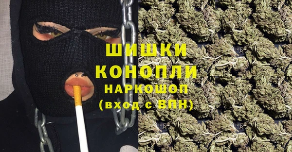 мдпв Киреевск