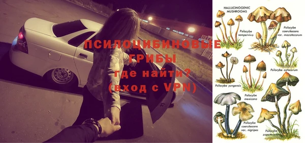 молекула духа Кинешма